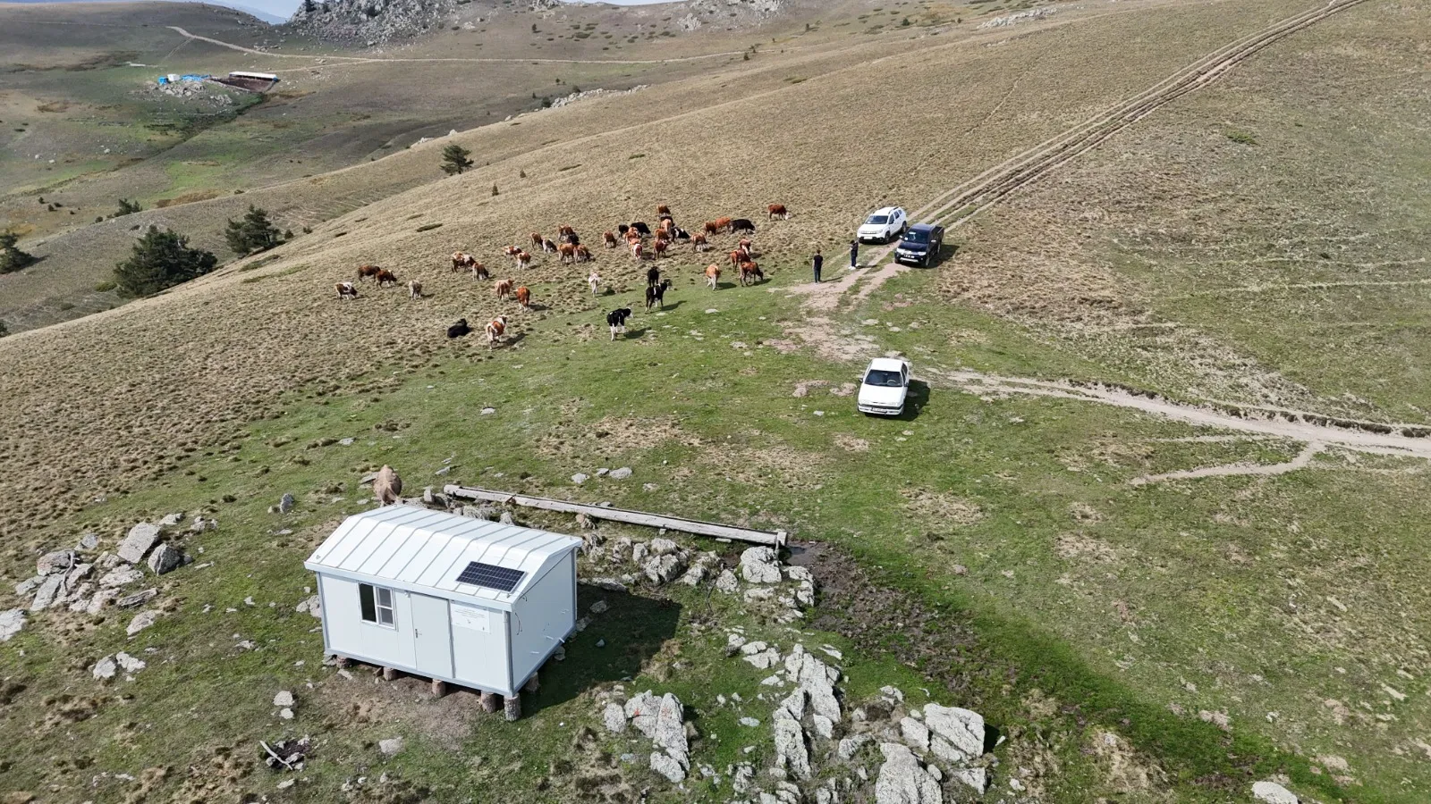 Kastamonu'da 10 Yere Yerleştirildi! Çobanlık Mesleğini Cazip Hale Getiriyor 8