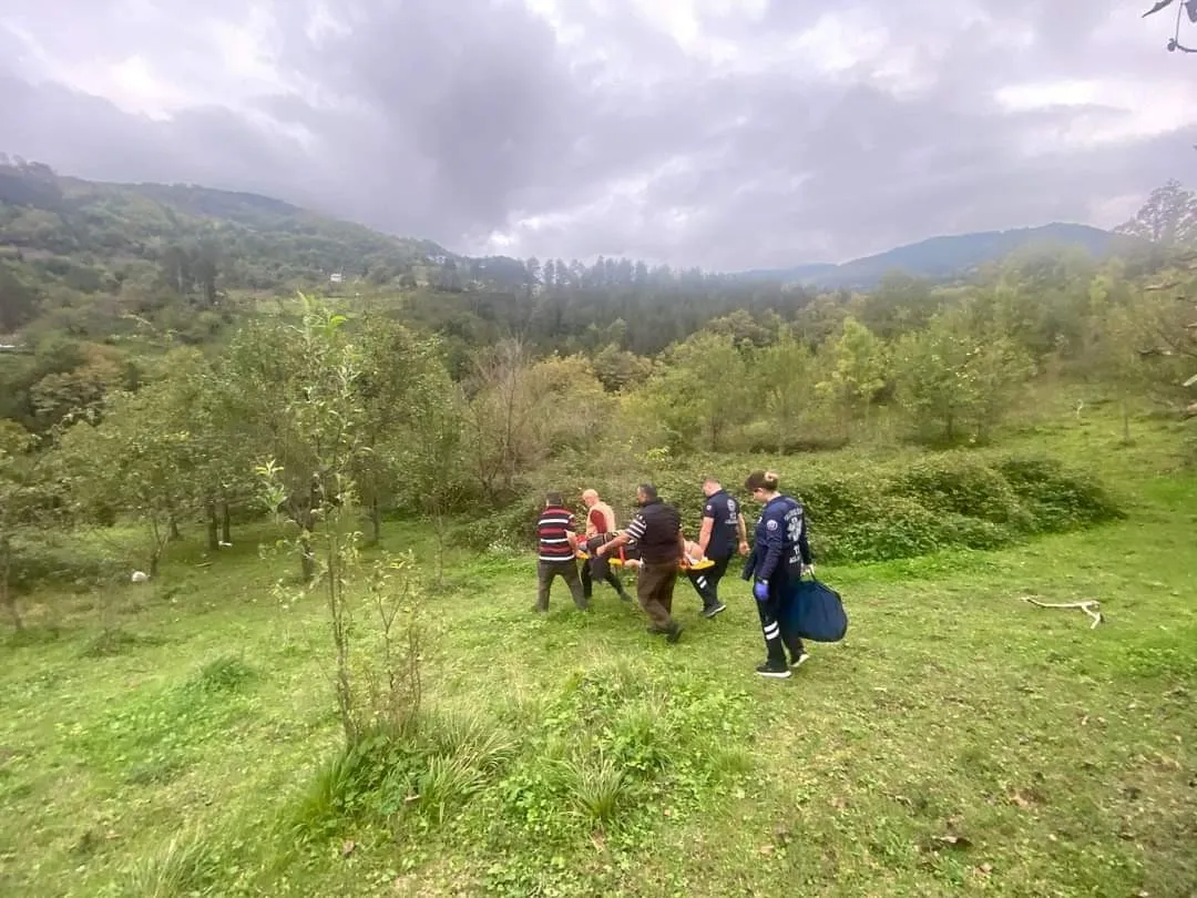 Kastamonu'da Ağaçtan Düştü! 3 Saat Süren Çaba Ile Hastaneye Ulaştırılabildi!