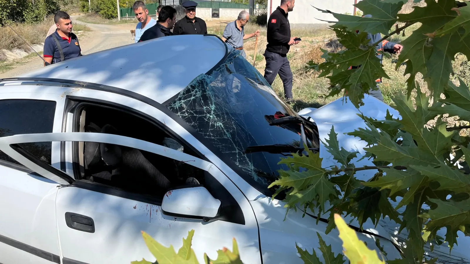 Kastamonu'da Kaza Ağaçlara Otomobilini Çarpan Sürücü Ağır Yaralandı! 2