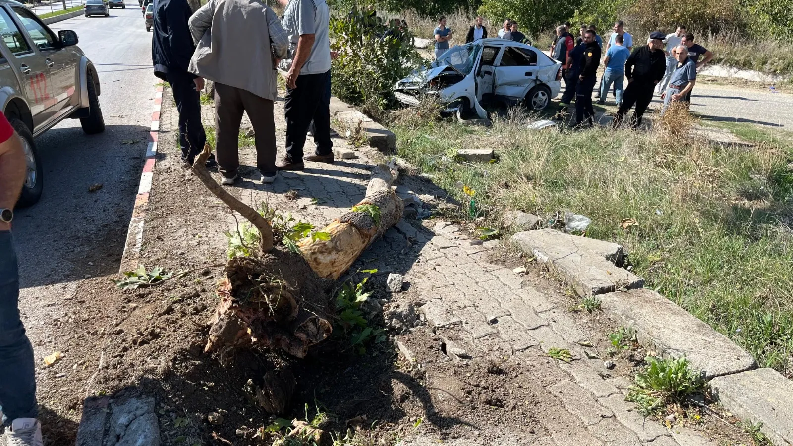 Kastamonu'da Kaza Ağaçlara Otomobilini Çarpan Sürücü Ağır Yaralandı!