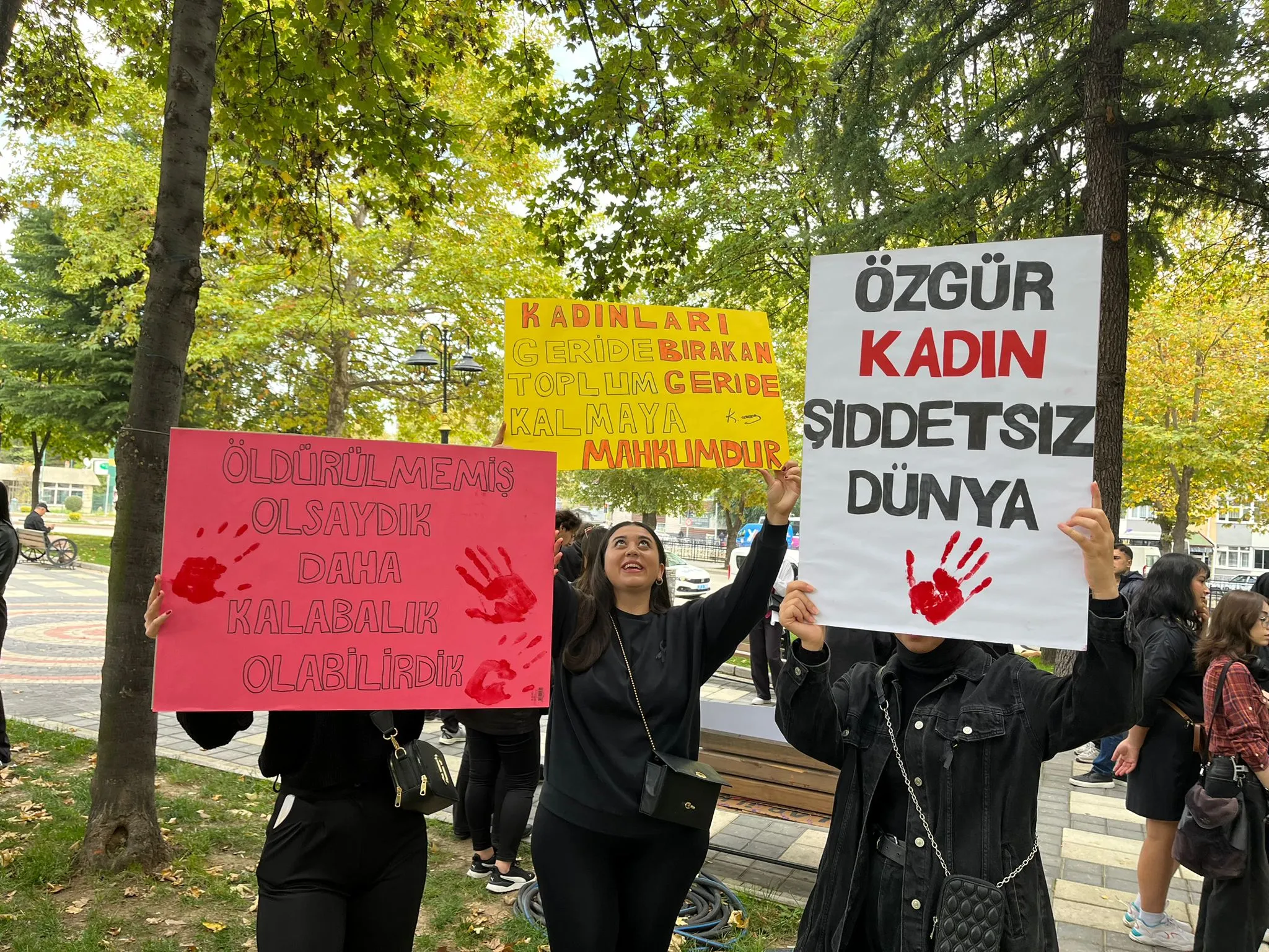 Kastamonu'dan Ses Yükseldi 'Susma, Sustukça Sıra Sana Gelecek' 4