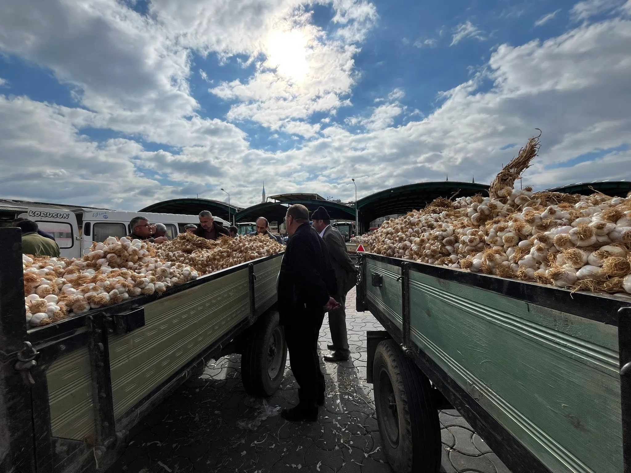 Sarımsak Fiyatlarında Artış Var Mı Taşköprü Sarımsak Pazarı’nda Son Durum Nedir 1