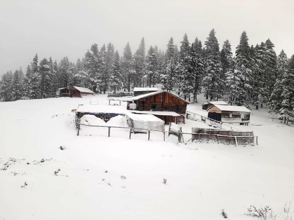 Sinop Türkeli Yayla (1)