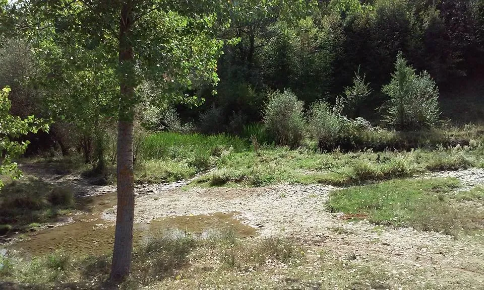 Taşköprü Esederesi (İsaderesi) Türbesi. Salih Furkan Ve Yavlak Aslan Hakkında… (3)