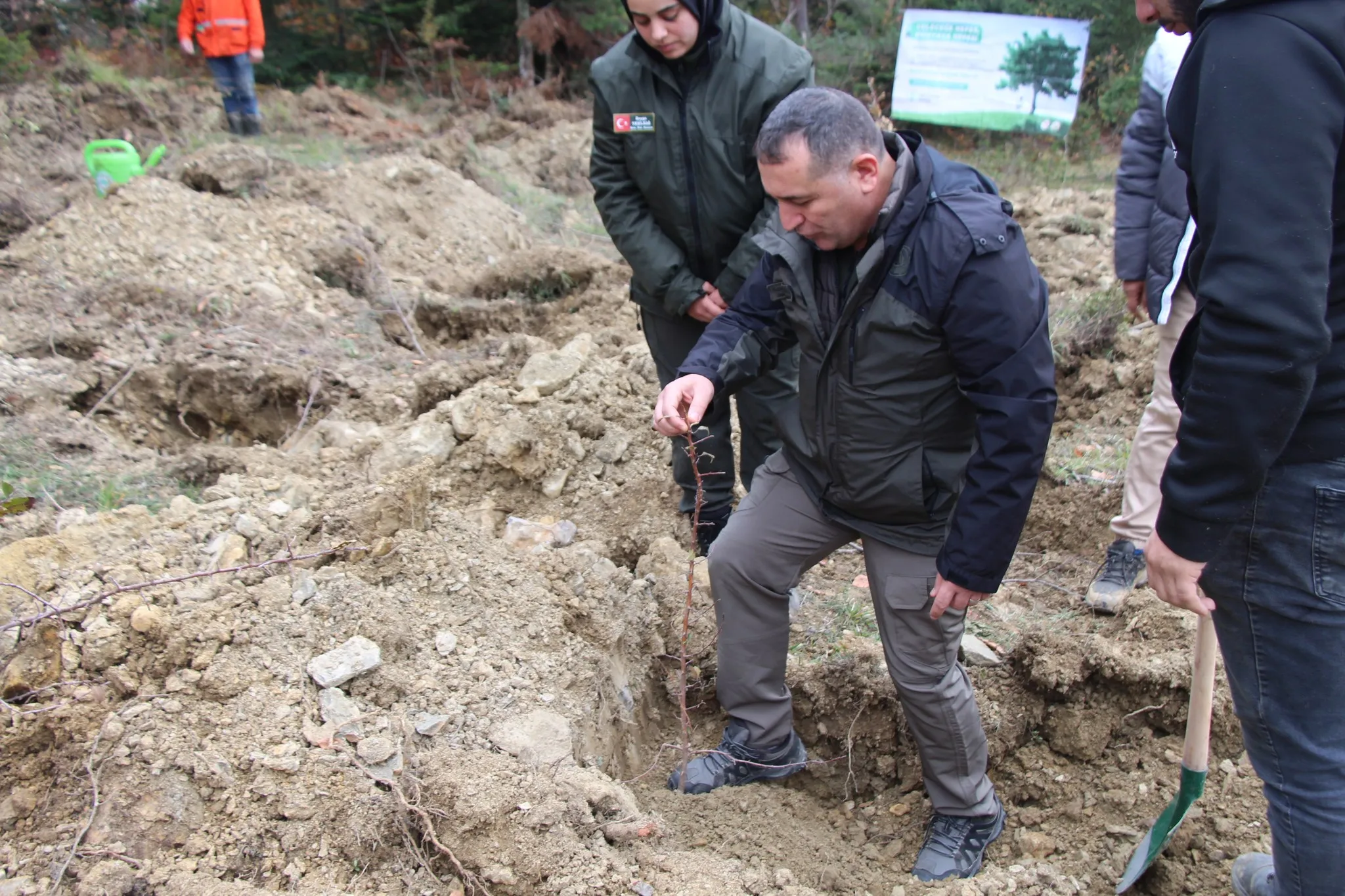 İnebolu’da 5 Bin Fidan Dikildi 1