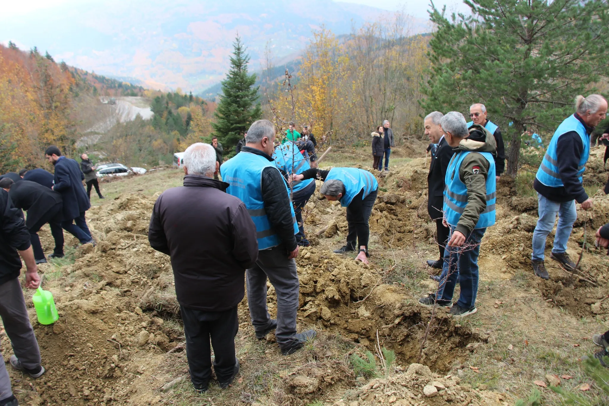 İnebolu’da 5 Bin Fidan Dikildi 3