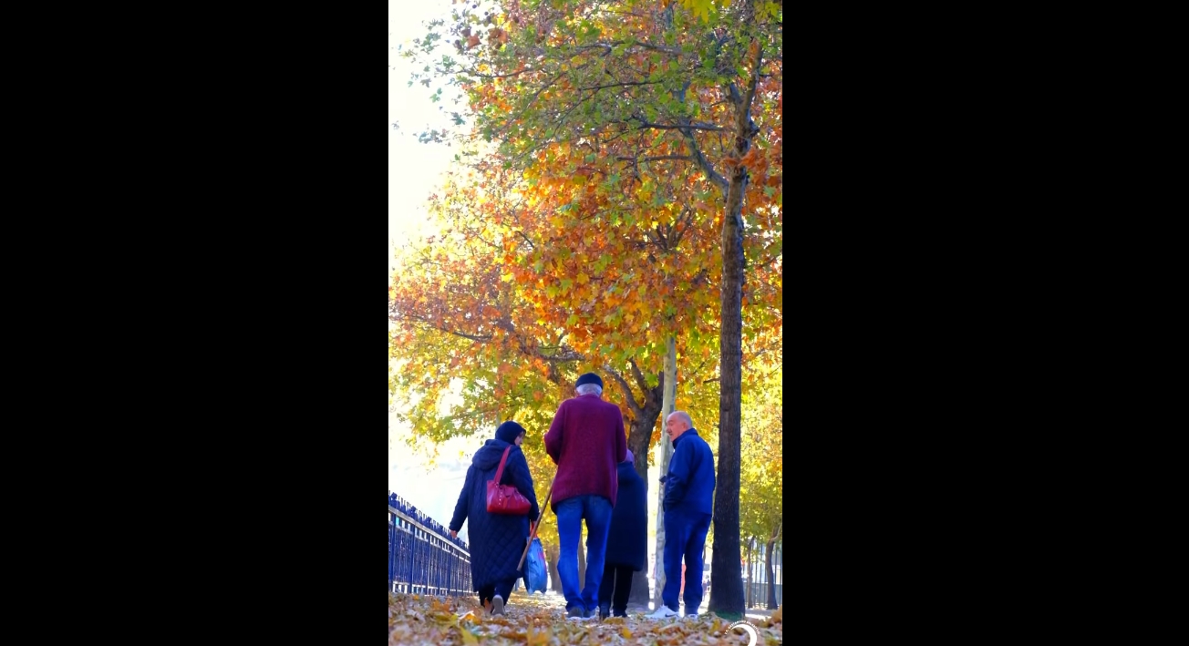 Kastamonu Belediyesi Sonbahar (3)