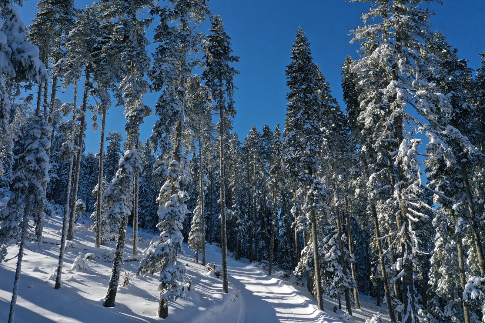 Kastamonu Çankırı Ilgaz Dağı Dron Görüntüsü (5)