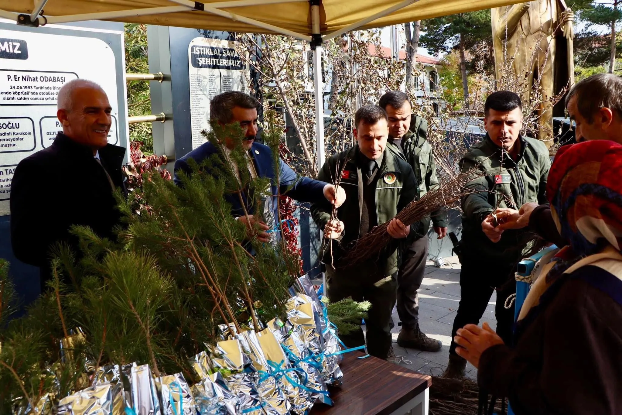 Kastamonu Geleceğe Nefes Oluyor 19 Ilçede 15 Bin Fidan Dikildi! 10