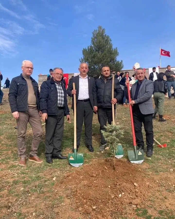 Kastamonu Geleceğe Nefes Oluyor 19 Ilçede 15 Bin Fidan Dikildi! 4