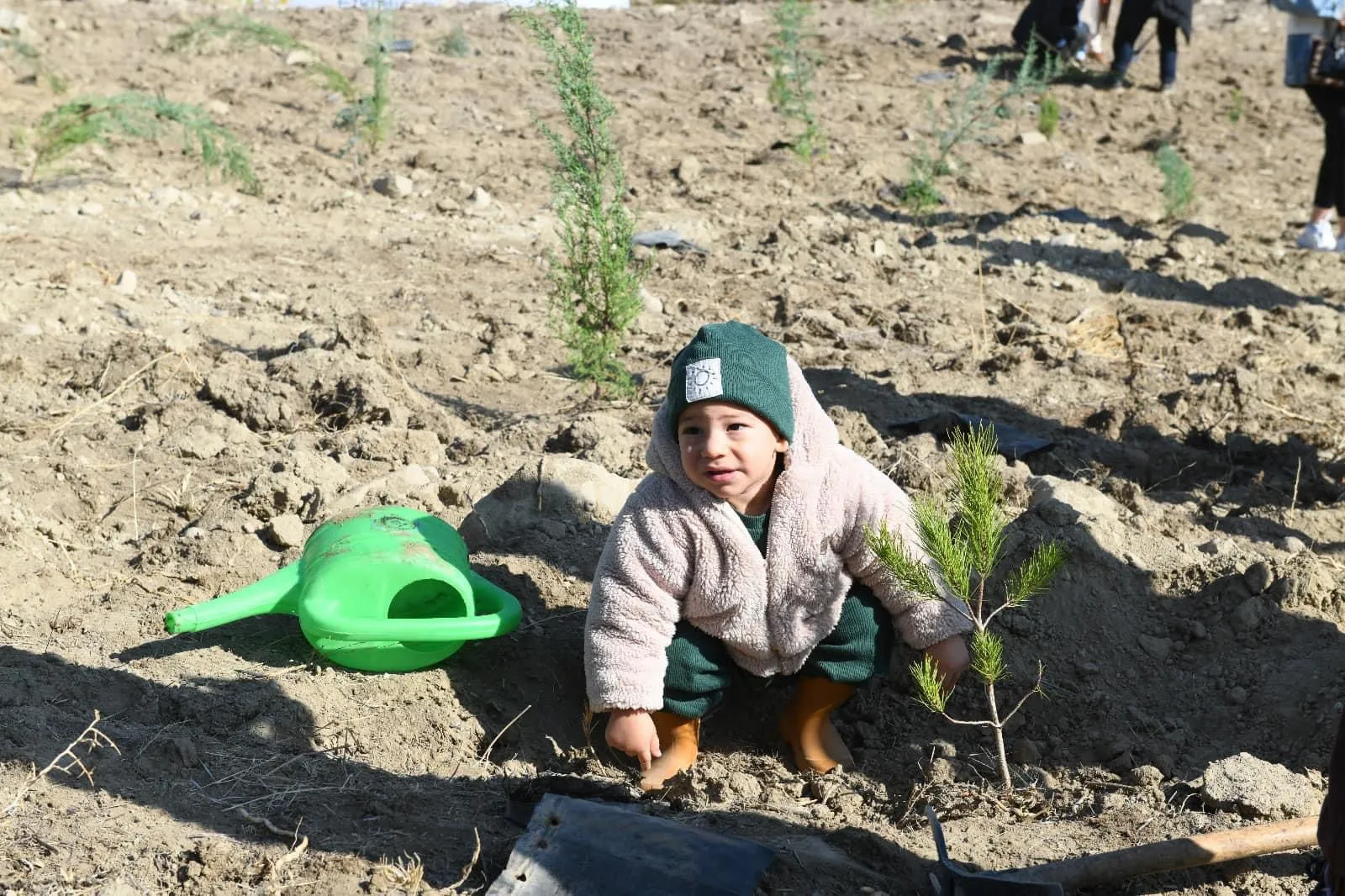 Kastamonu Geleceğe Nefes Oluyor 19 Ilçede 15 Bin Fidan Dikildi! 6