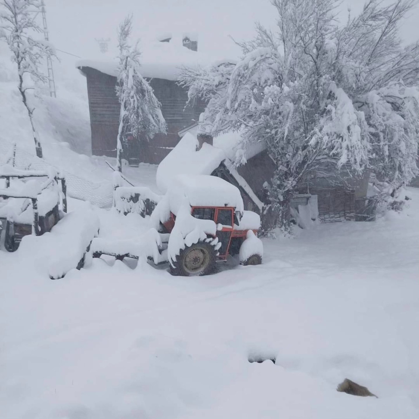 Kastamonu Kar Manzara (1)