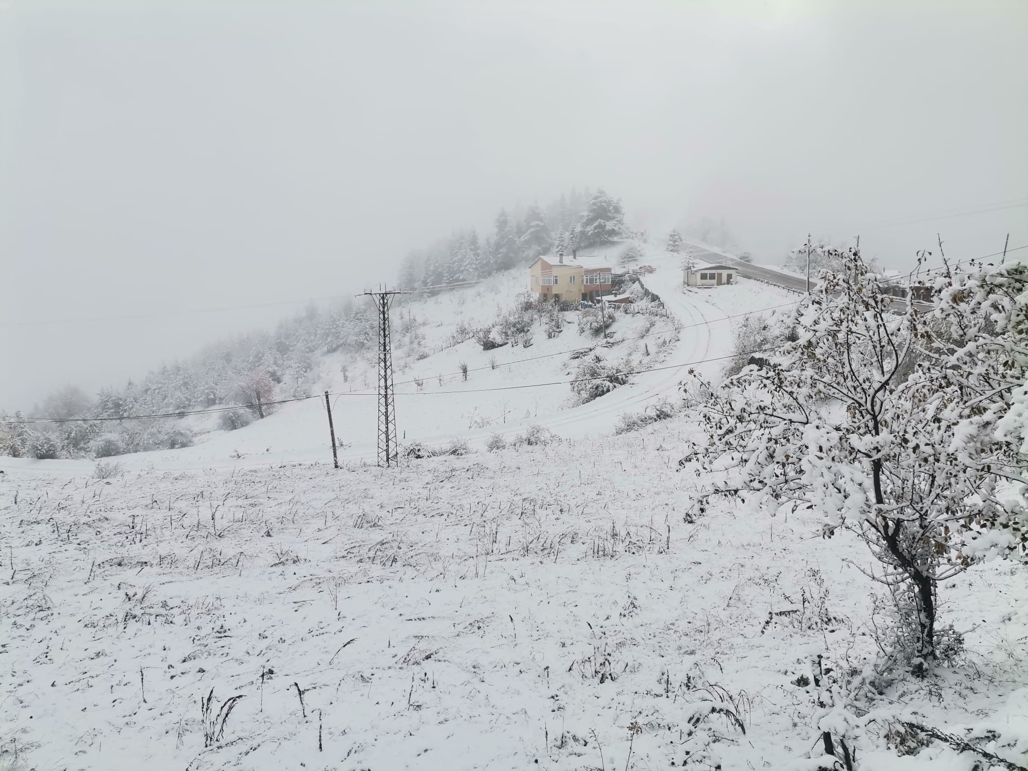 Kastamonu Kar Yağışı Başladı (1)