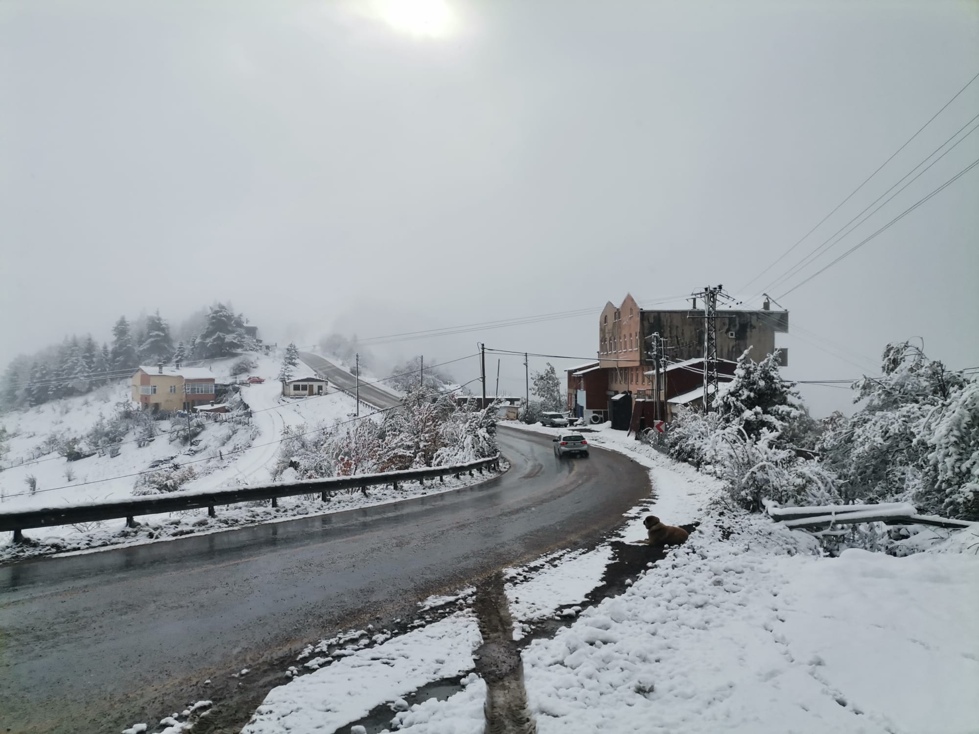 Kastamonu Kar Yağışı Başladı (5)