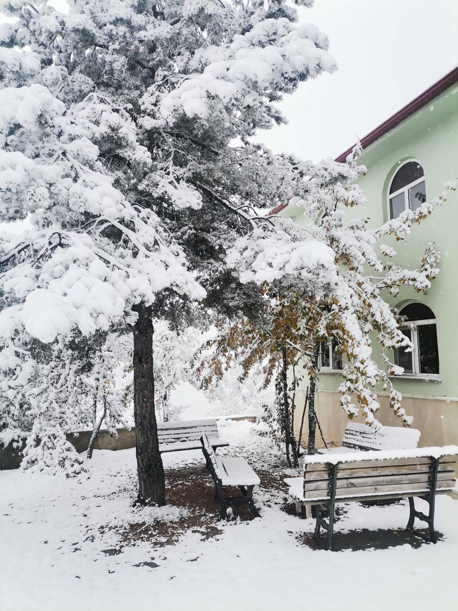 Kastamonu Kar Yağışı Başladı (6)