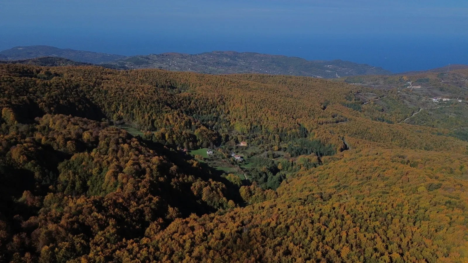 Kastamonu Ormanlarında Sonbaharın Eşsiz Güzellikleri Hakim! 6