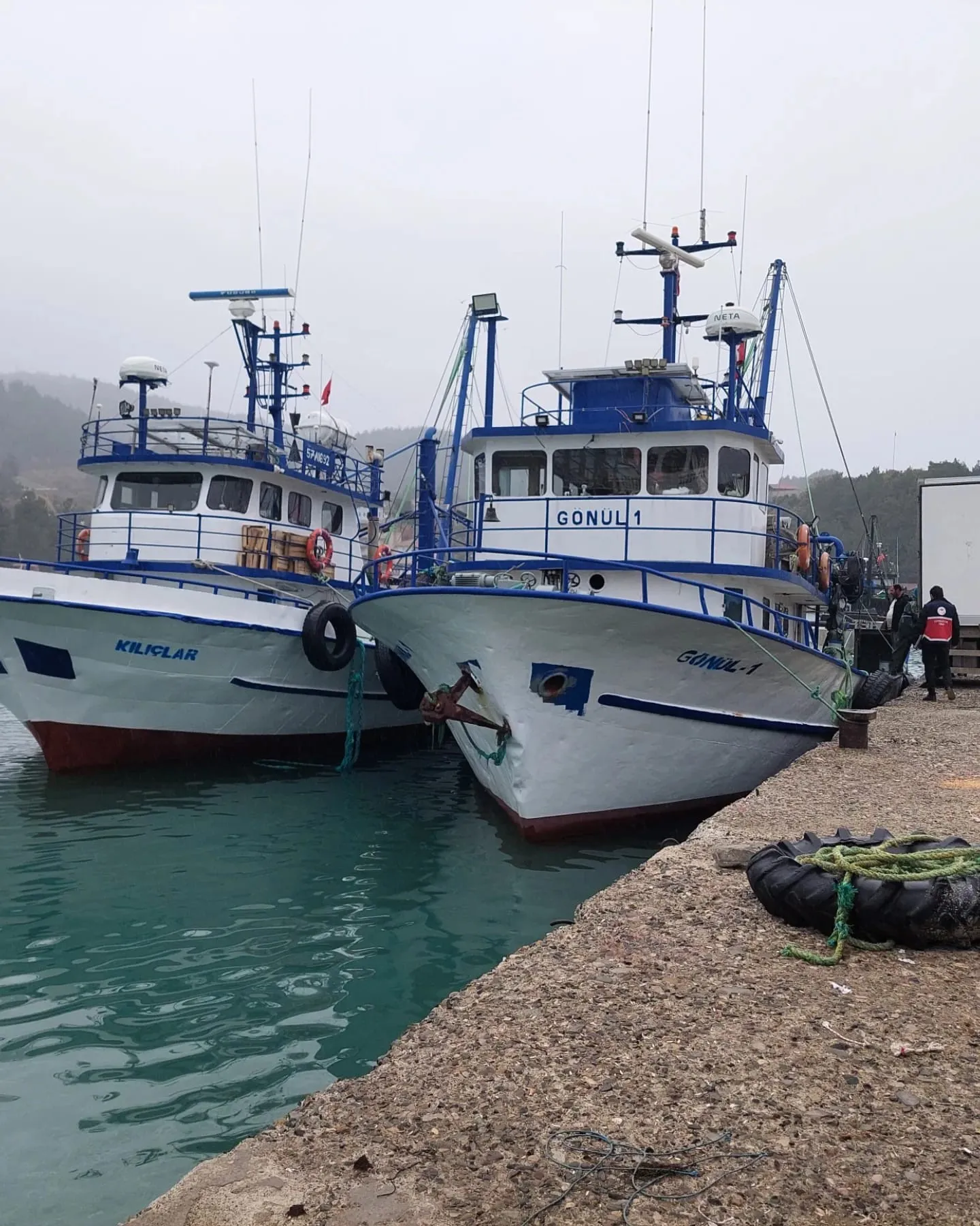 Kastamonu Sahilinde Hamsi Bereketi 12 Ton 810 Kilogram! 3