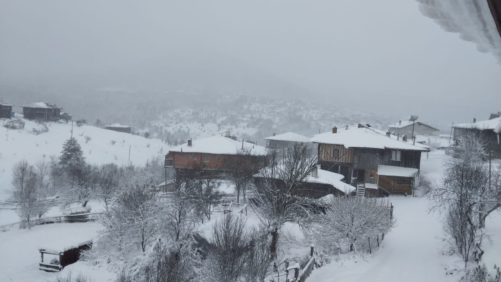 Kastamonu Şeyh Ören Köyü (2)