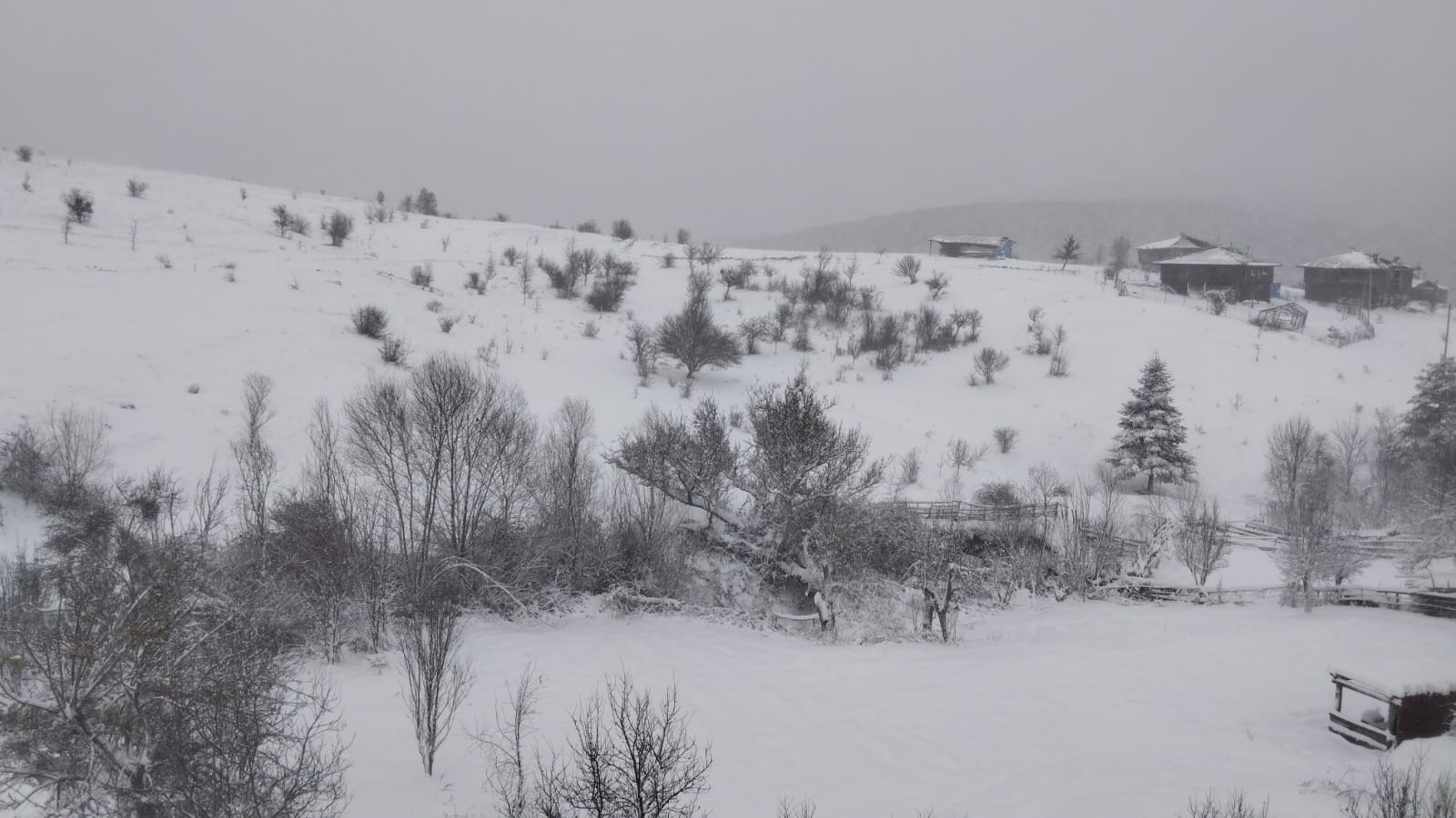 Kastamonu Şeyh Ören Köyü (3)