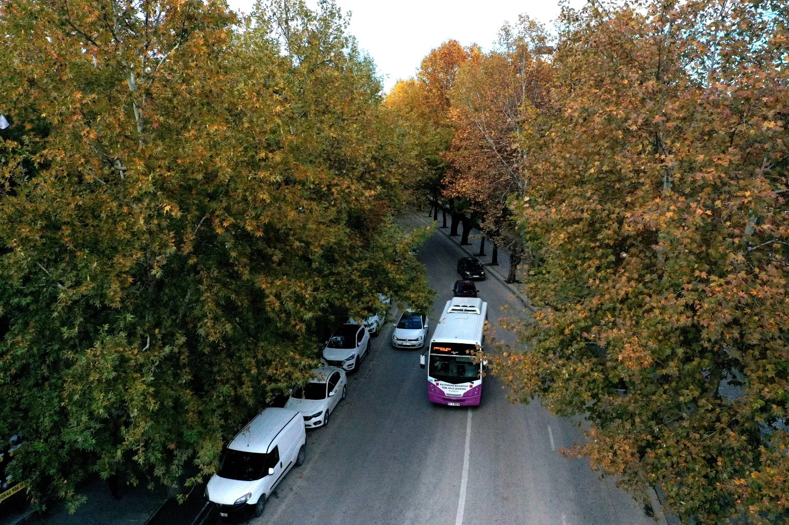 Kastamonu Sonbaharın Büyüsünü Yaşıyor Renk Cümbüşü Şehri Sardı! 1