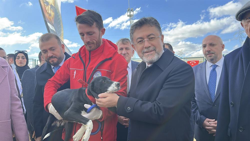 Kastamonu Tarım Ve Orman Bakanı Sokak Köpeği (2)