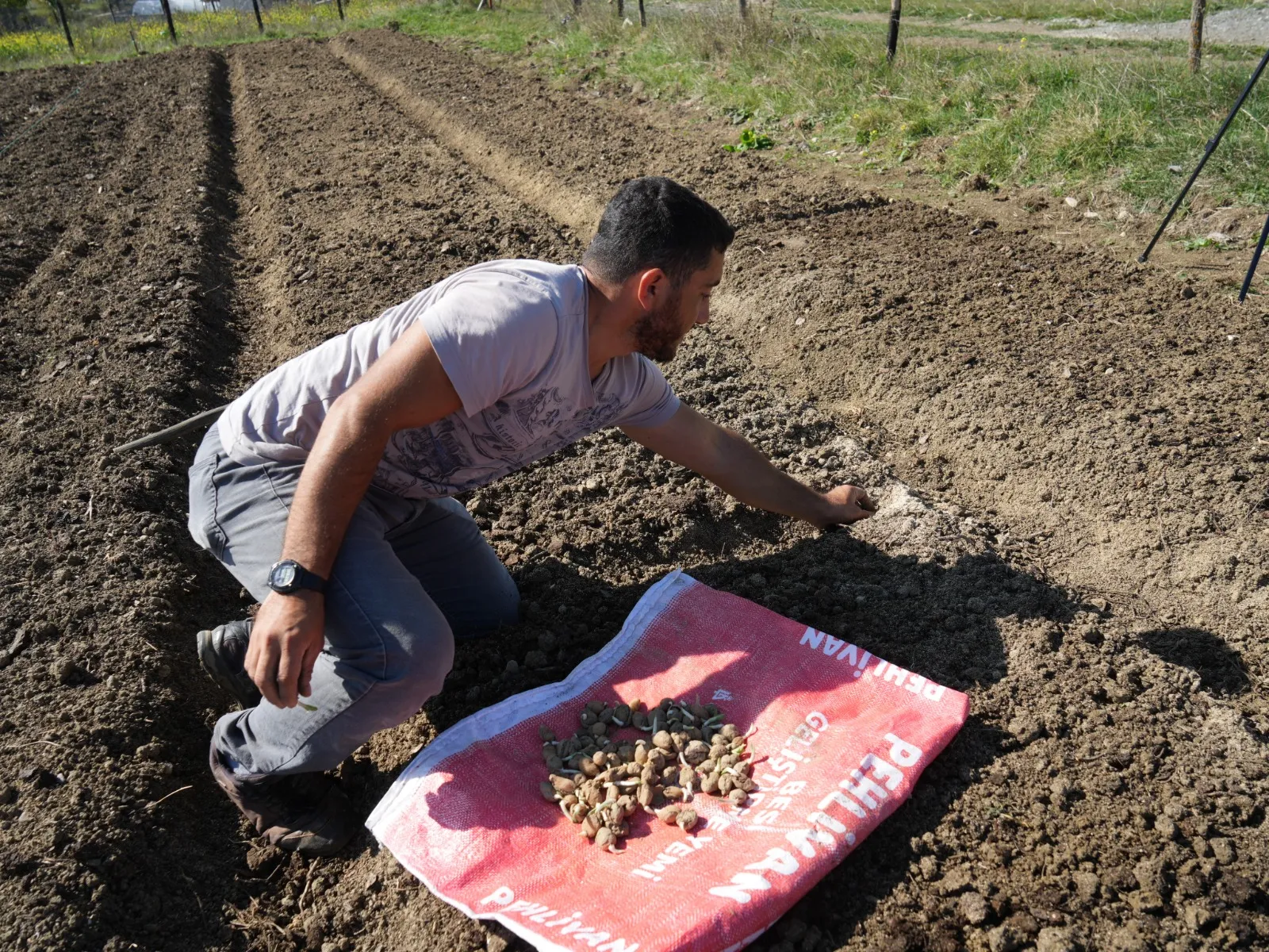 Kastamonu'da 1 Dönüme 200 Kilogram Ekti' 800 Bin Lira Kazanç Elde Ediyor! 4