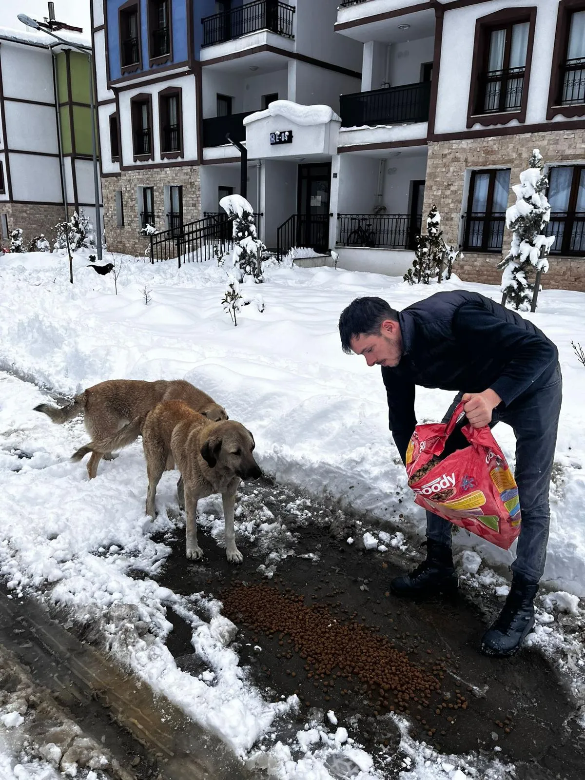 Kastamonu’da Kar Yağışında Sokak Hayvanları Yalnız Bırakılmadı (7)