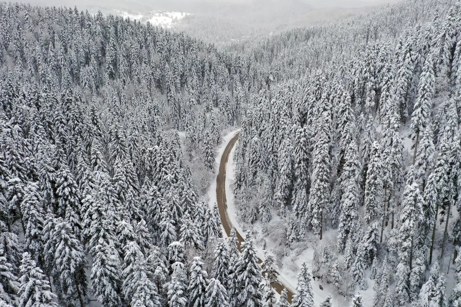 Kastamonu’dan Bir Kare Dünyaya Açıldı Dünya Kastamonu'yu Tanıdı! 2