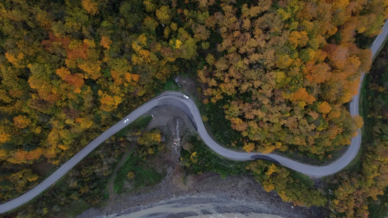 Sonbaharın Renk Cümbüşü Kastamonu Ormanları Göz Kamaştırıyor! 1