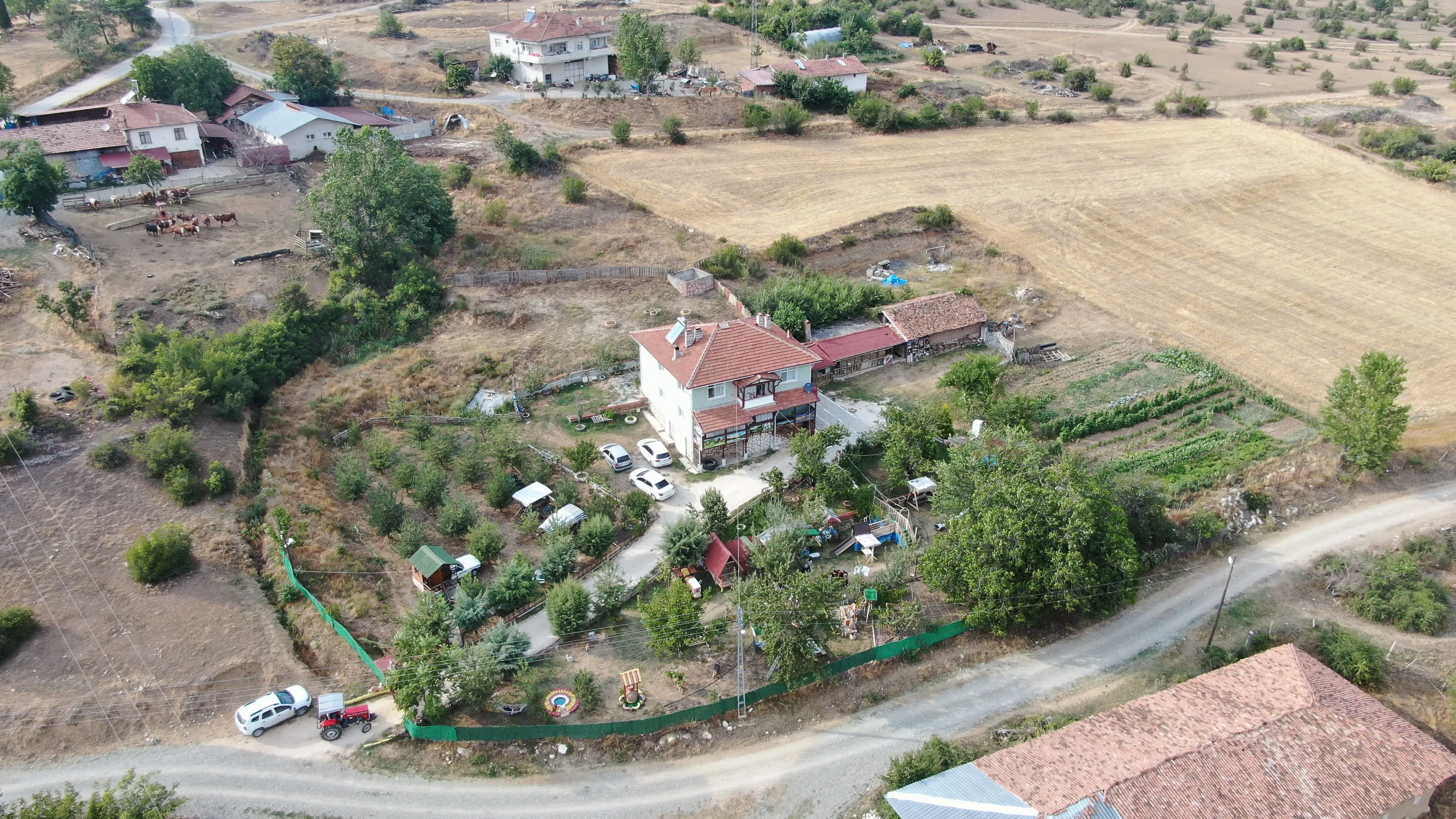 Süper Dede Kastamonu'da Hayalini Gerçekleştirdi, Kurduğu Çiftlik Çocukların Ilgi Odağı Oldu! 9