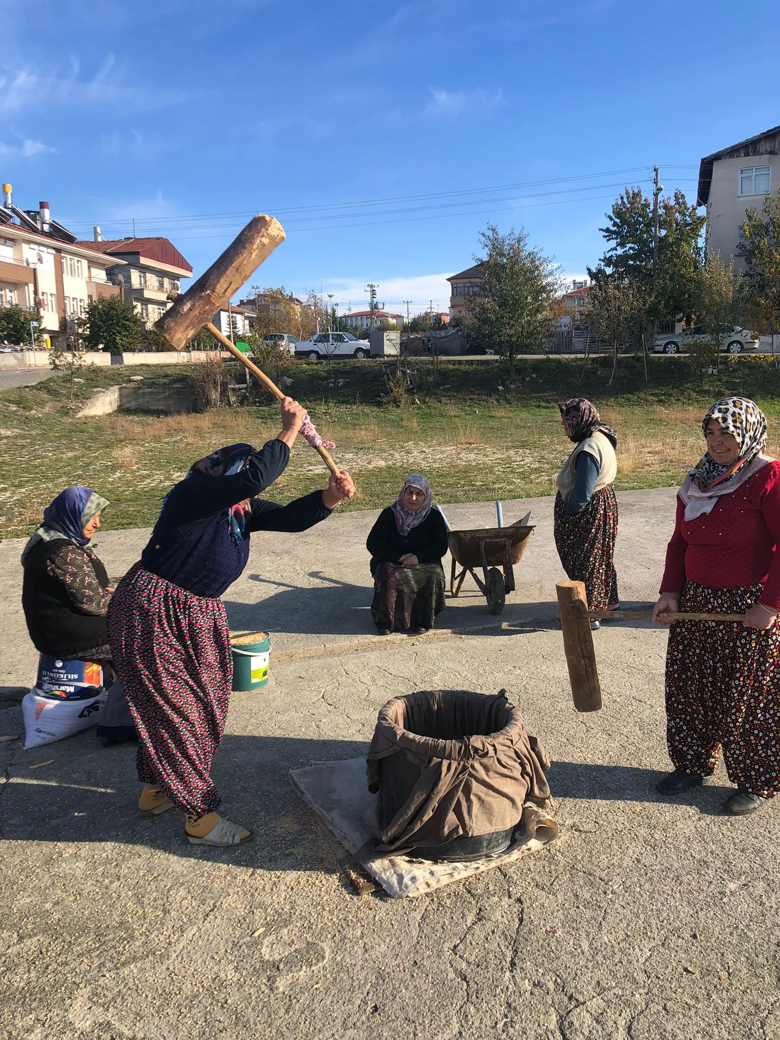 Taşköprü ‘De Keşkeklik Buğdaylar Kışa Hazırlandı (1)