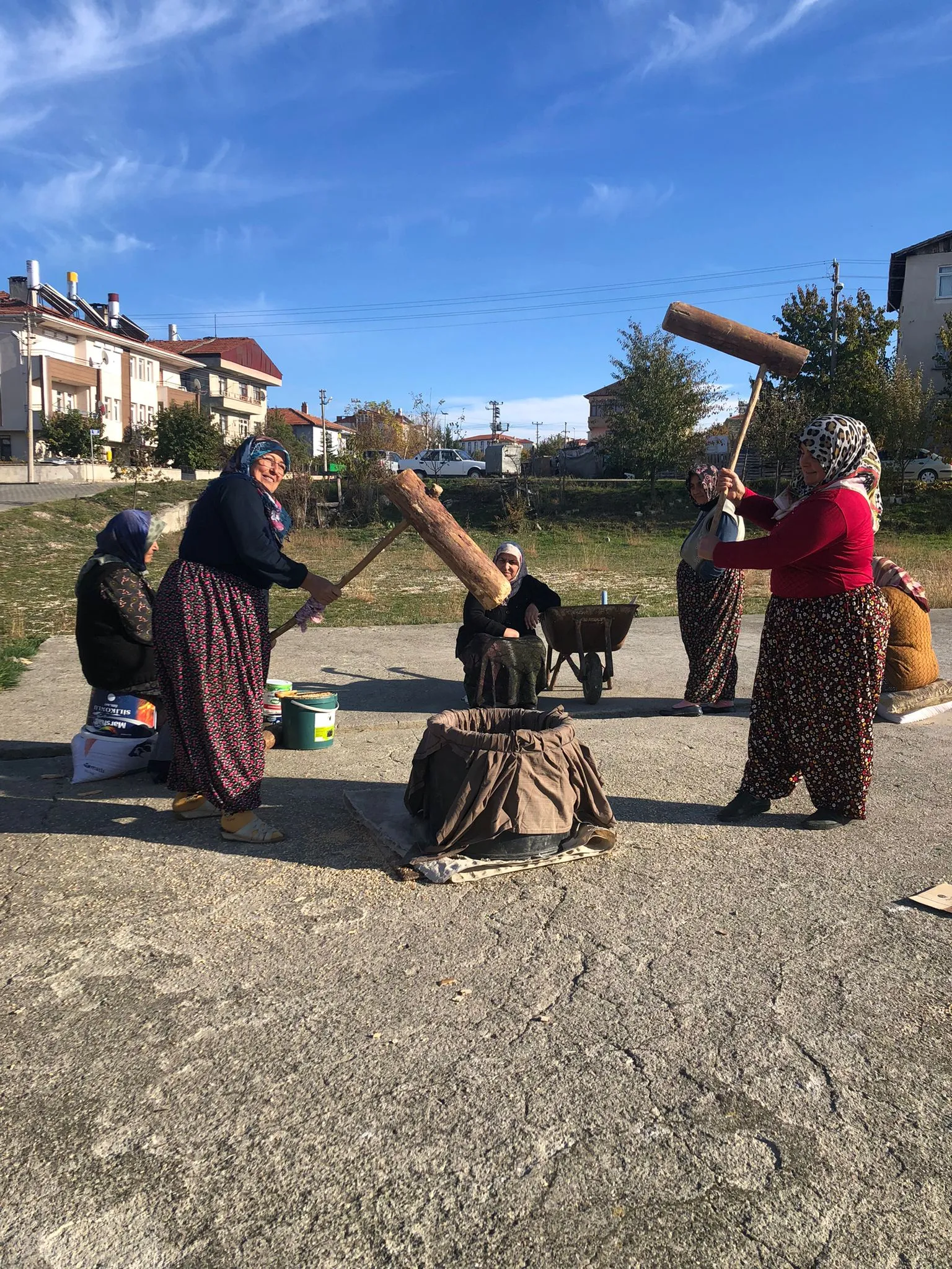 Taşköprü ‘De Keşkeklik Buğdaylar Kışa Hazırlandı (2)