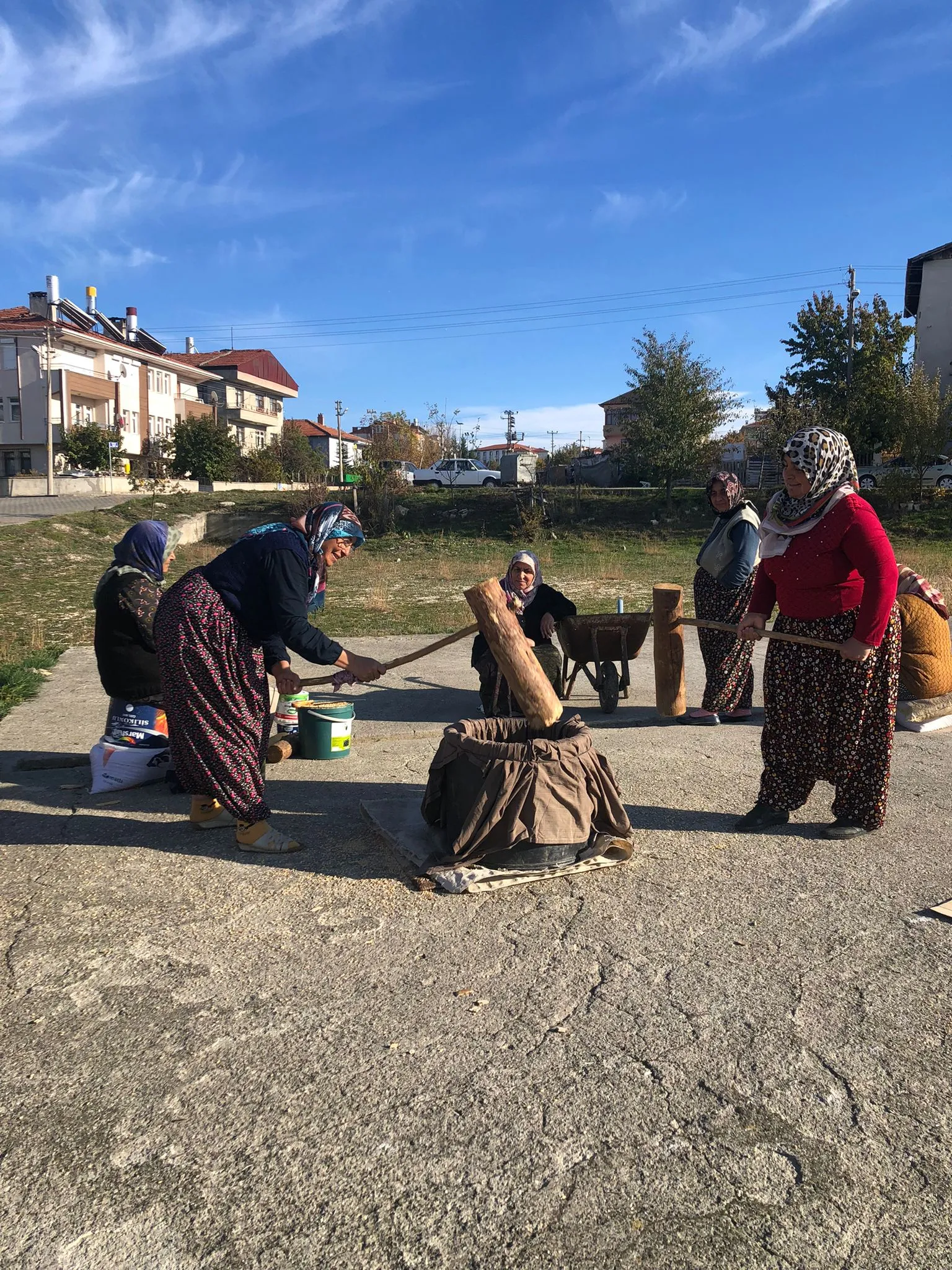 Taşköprü ‘De Keşkeklik Buğdaylar Kışa Hazırlandı (4)