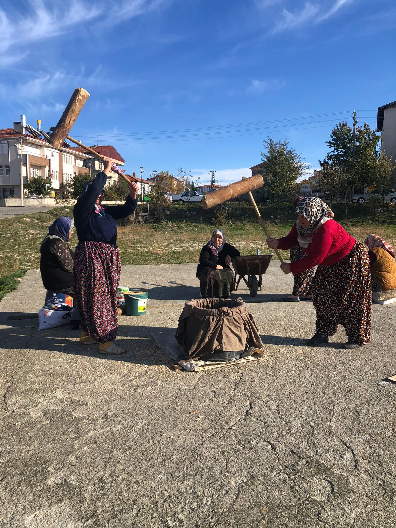 Taşköprü ‘De Keşkeklik Buğdaylar Kışa Hazırlandı (7)