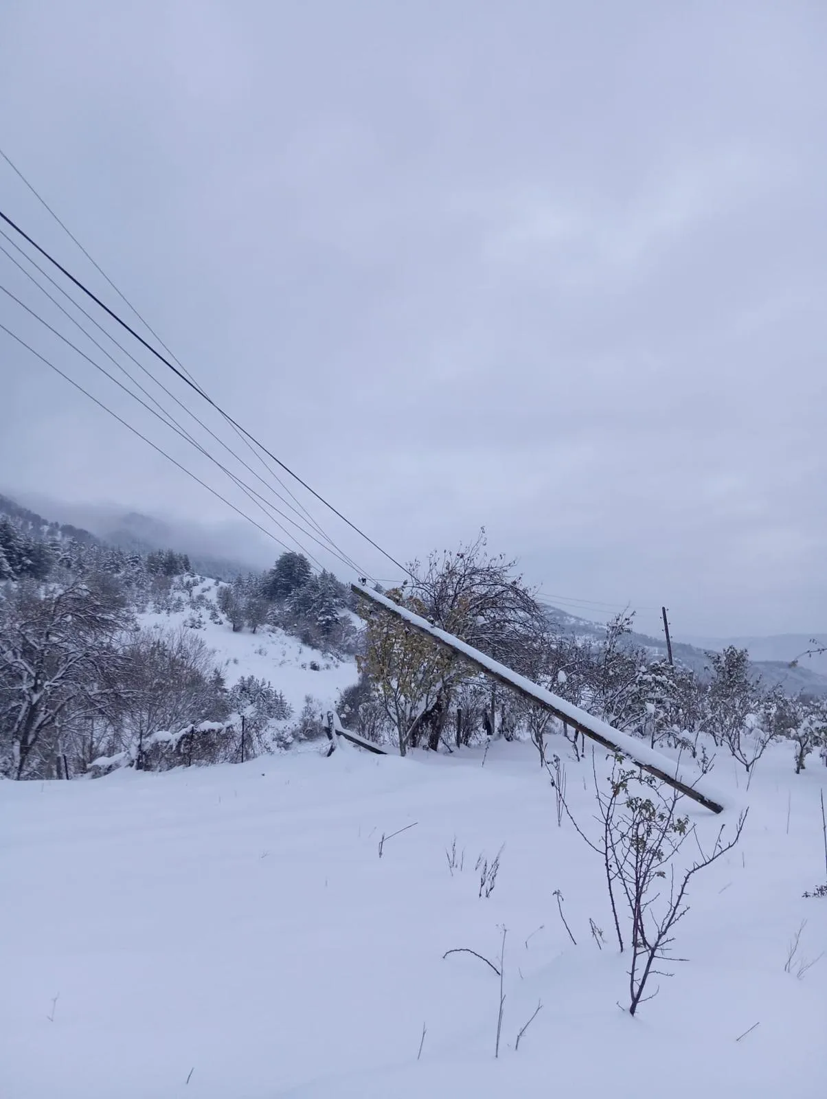 Taşköprü Ve Hanönü’de Elektrik Sorunu Çözülüyor 50 Köy Ve 158 Trafo! 2