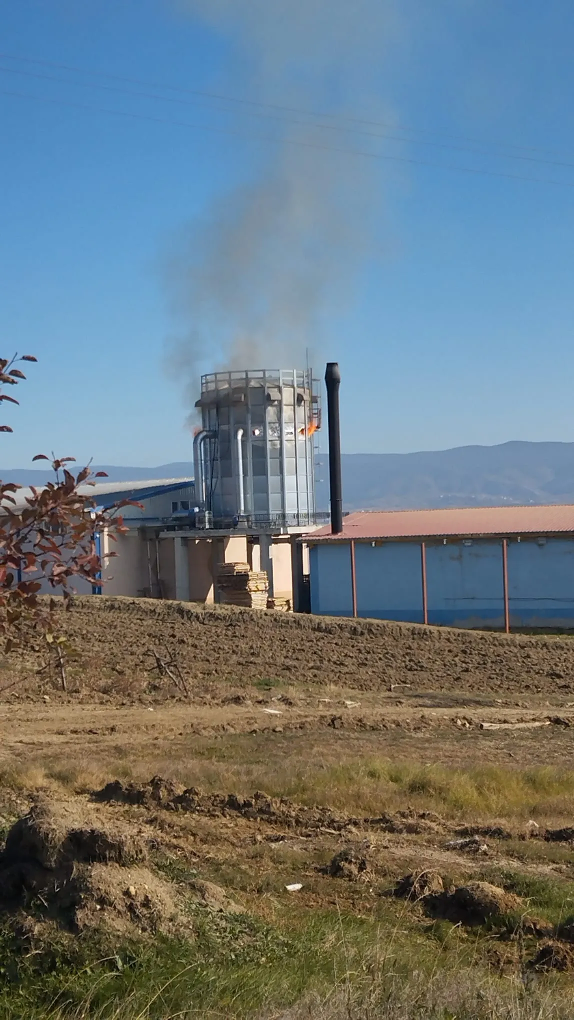 Taşköprü'de Kavak Fabrikasının Silosunda Yangın Çıktı 1