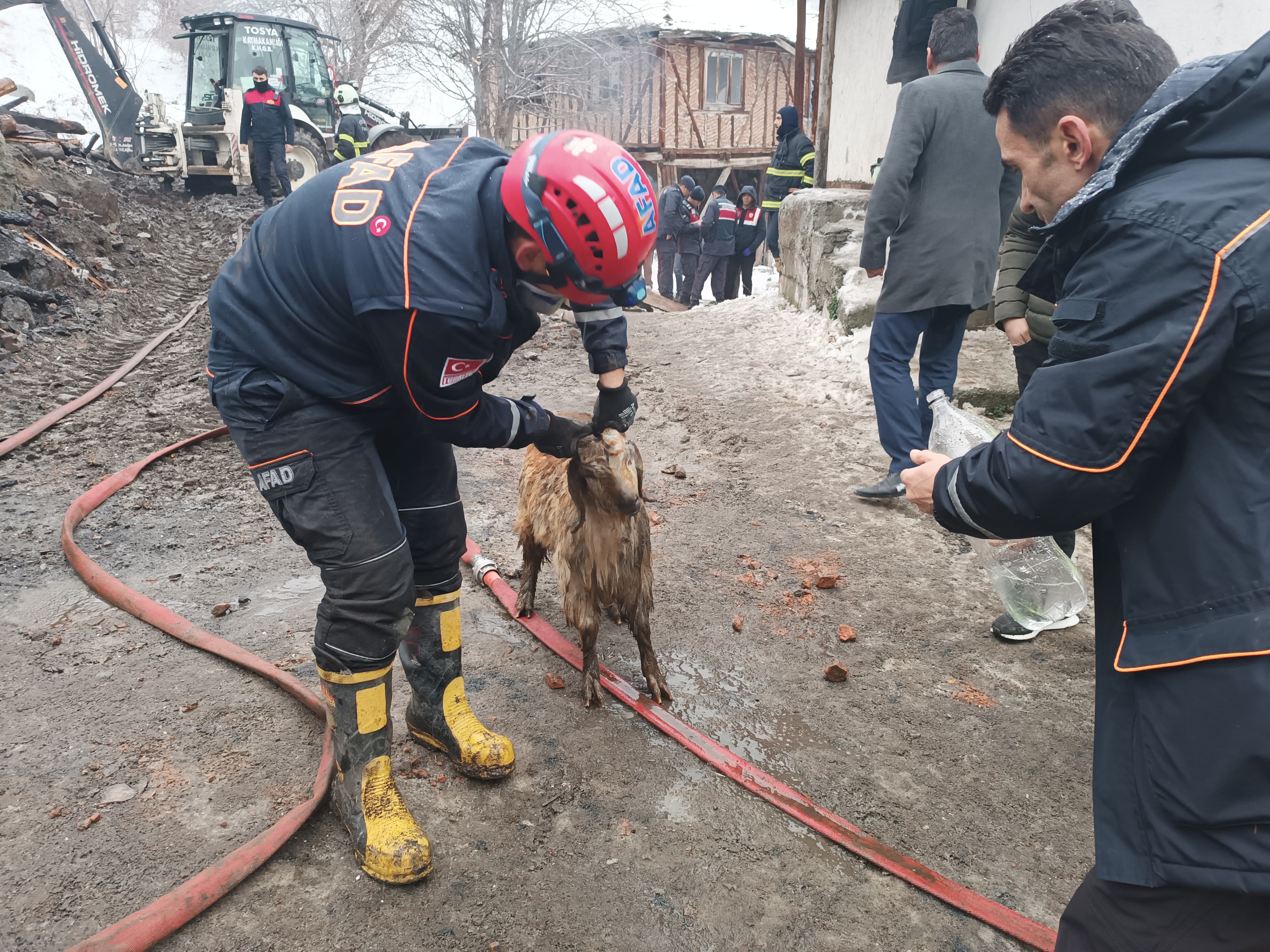 Tosyada Yangın Faciası Yukarıberçin (8)