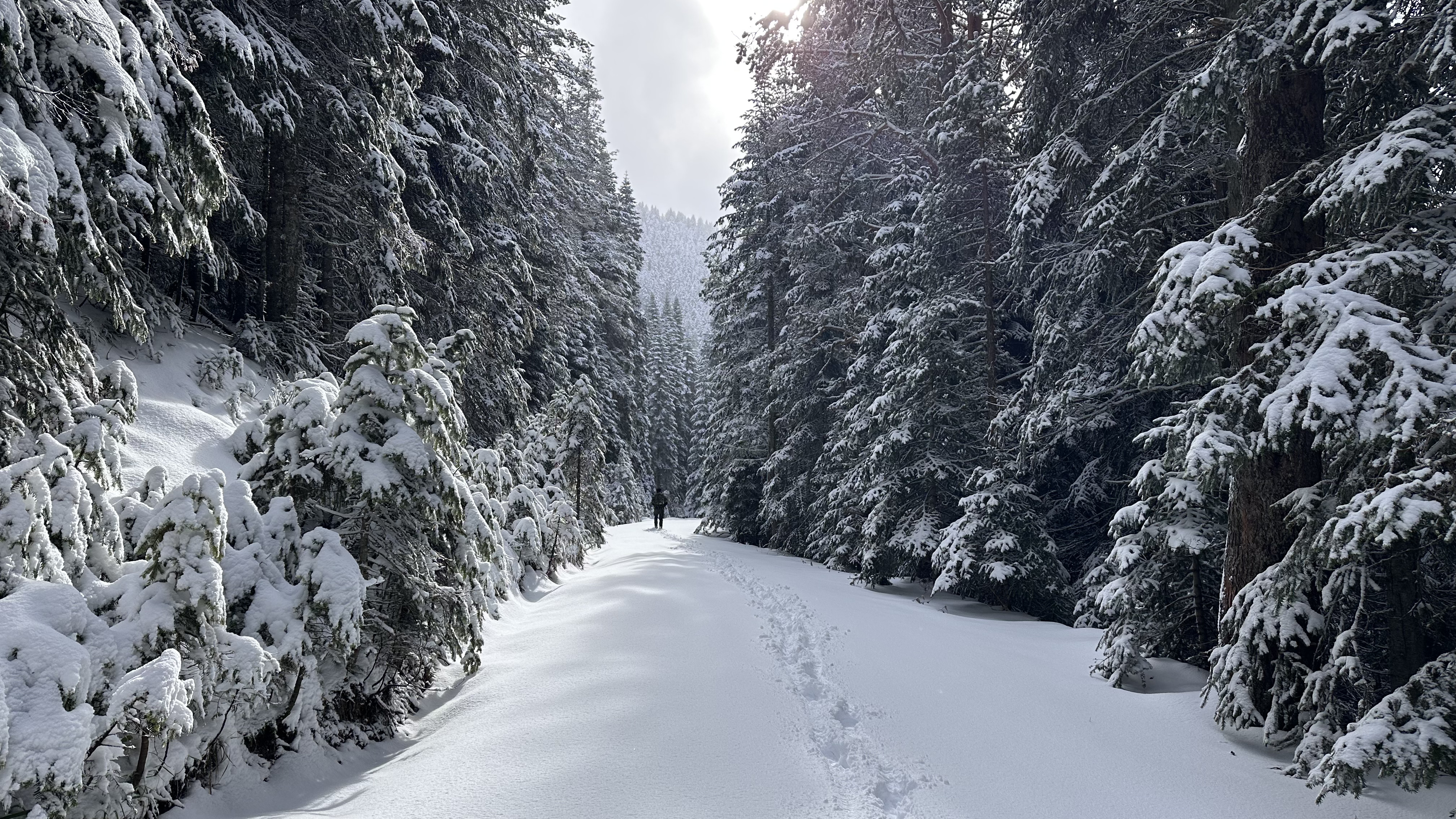 Ilgaz Dağı Kayak Merkezi (3)-1