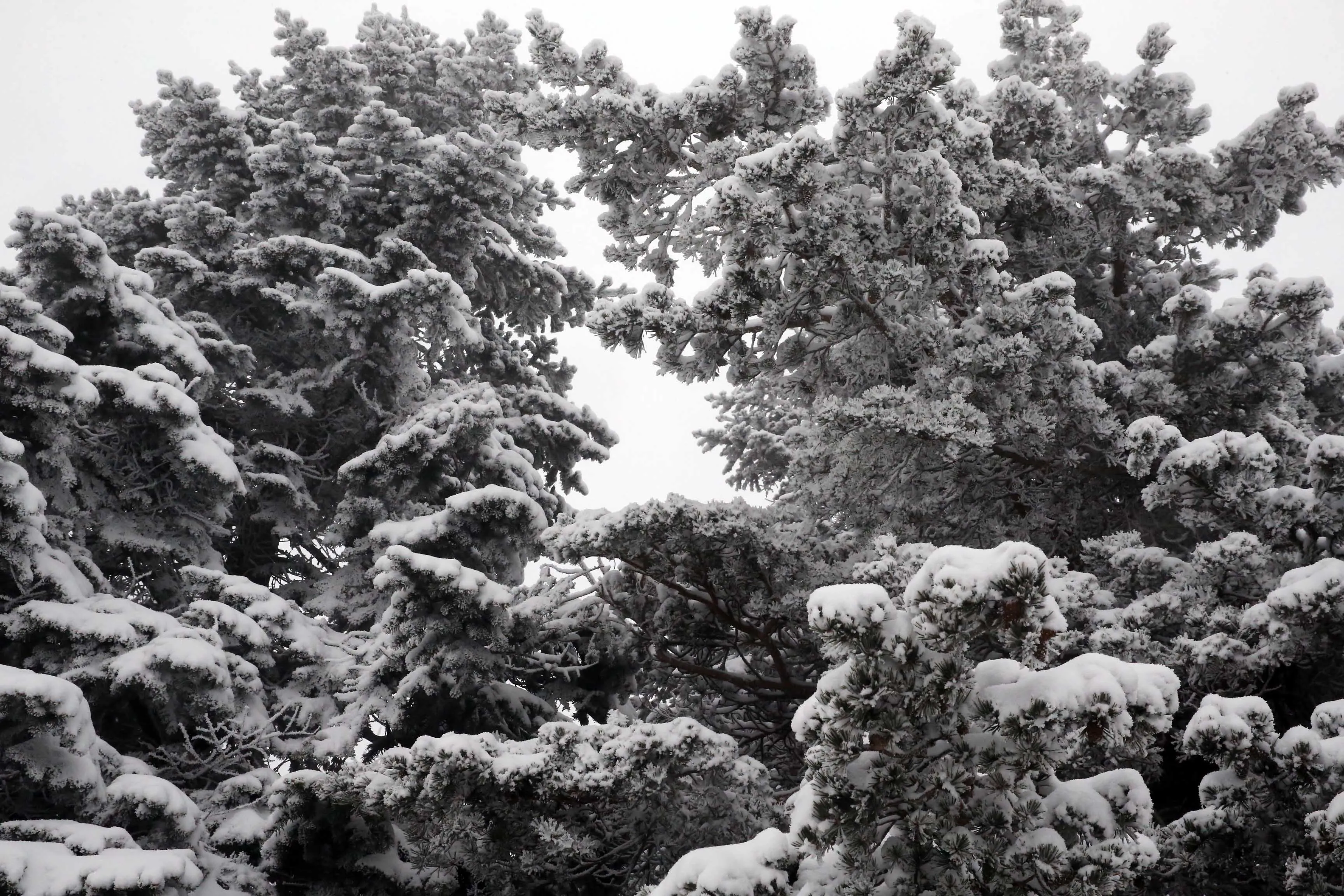 Ilgaz Dağı'nda Sis Ve Kar Etkili Oldu 1