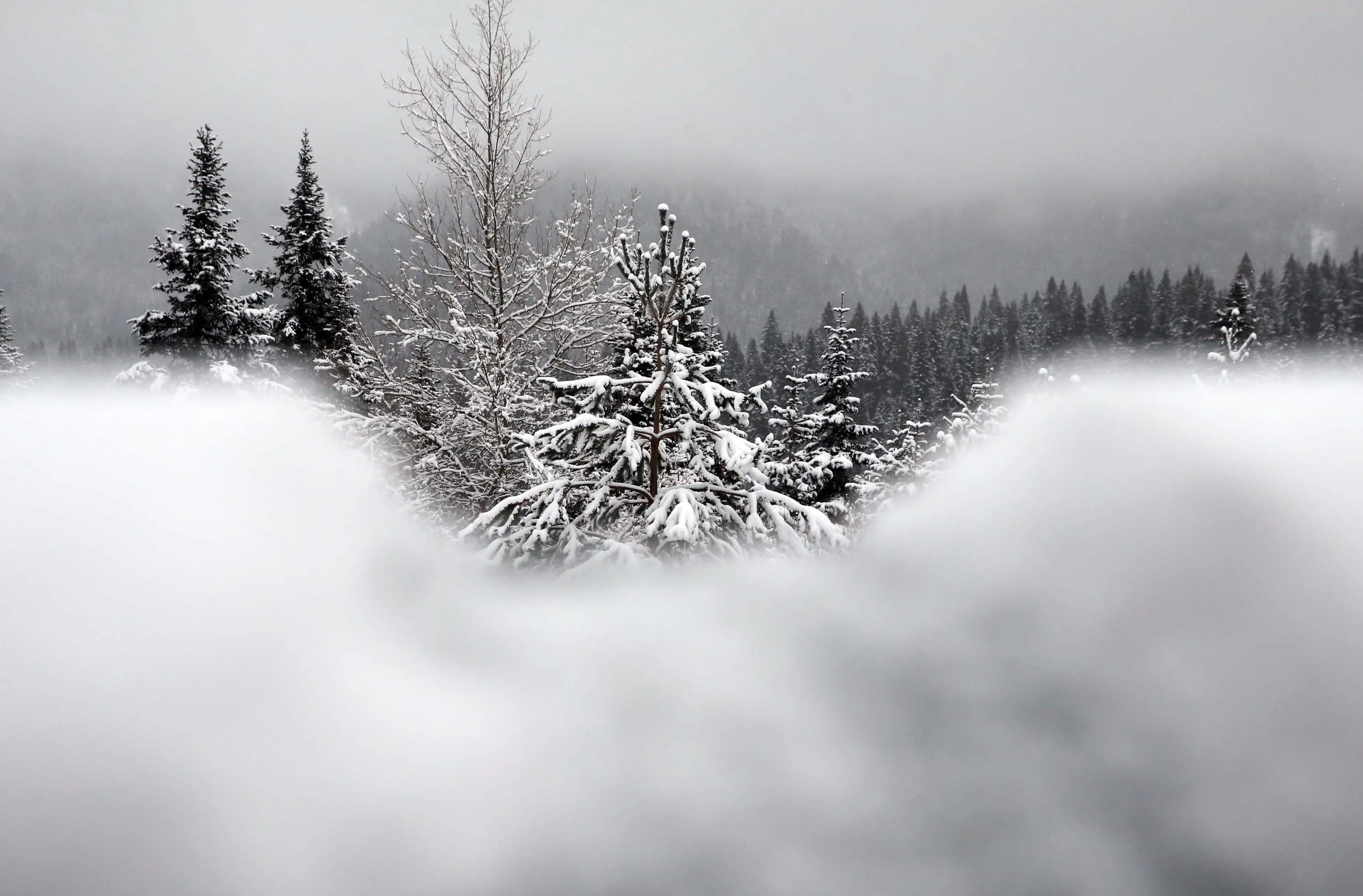 Ilgaz Dağı'nda Sis Ve Kar Etkili Oldu 4