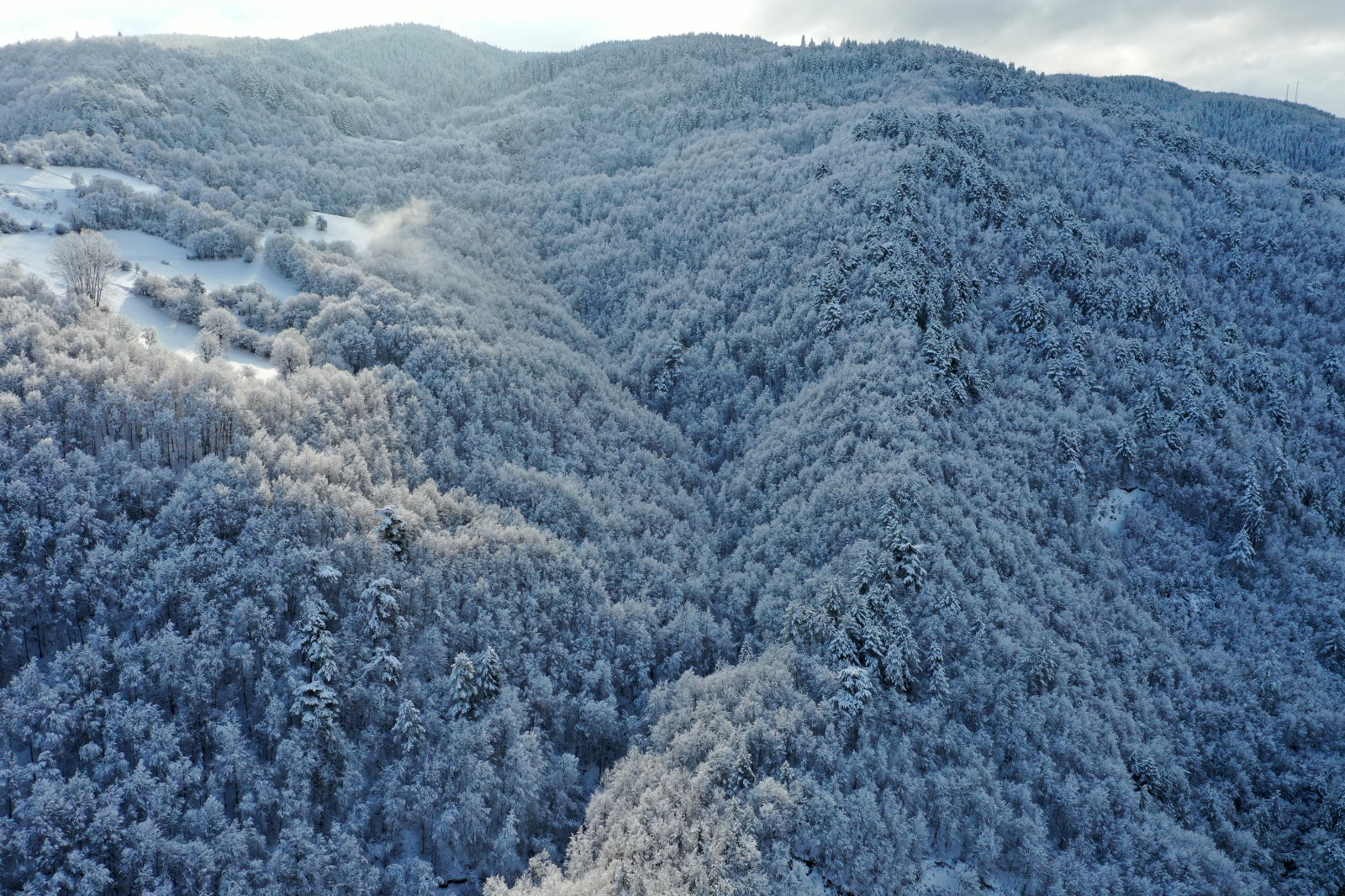 Kastamonu Ilgaz Kar Manzarası (4)