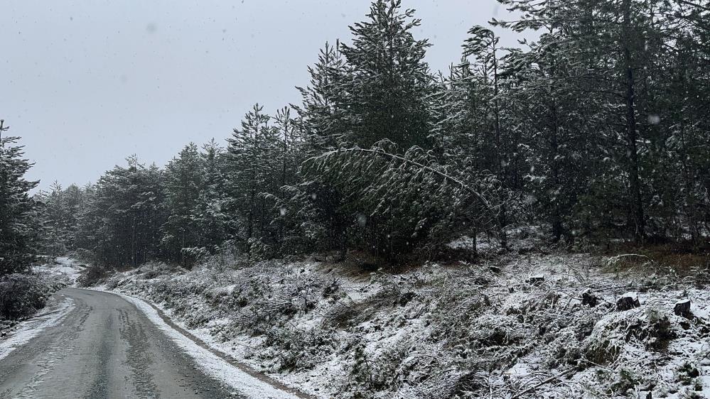 Kastamonu Kar Yağışı (4)