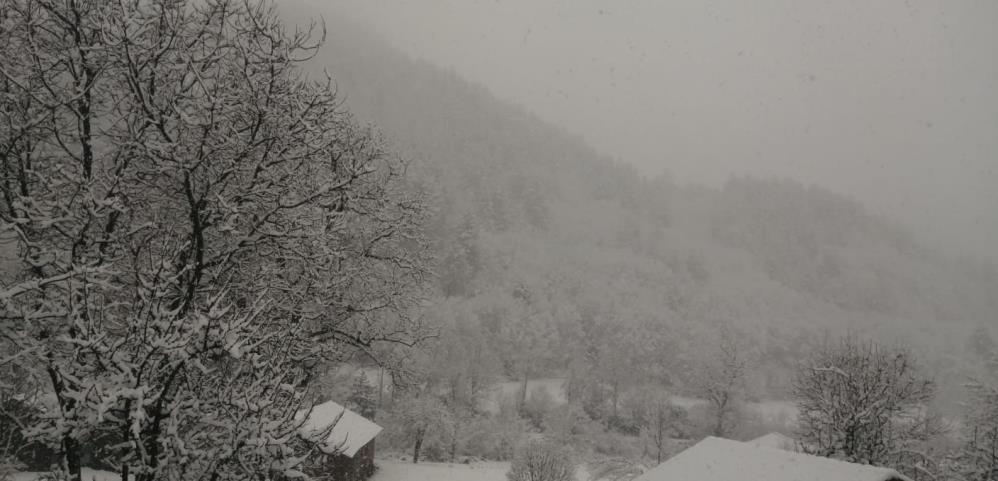 Kastamonu Kar Yağışı (5)