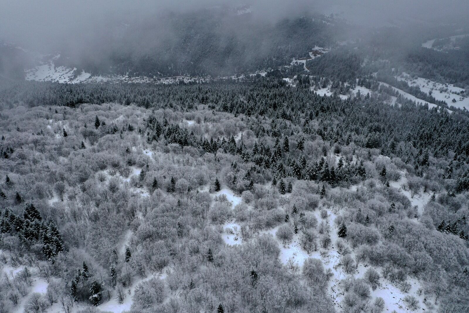 Kastamonu Küre Dağları (1)