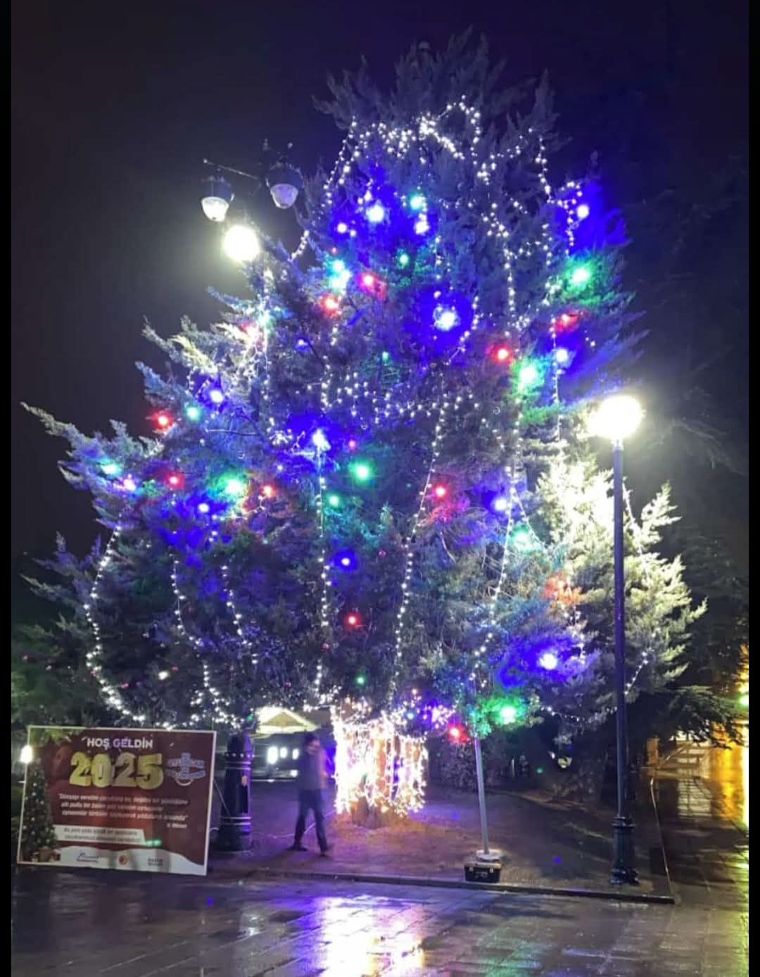 Kastamonu Noel Ağacı-1