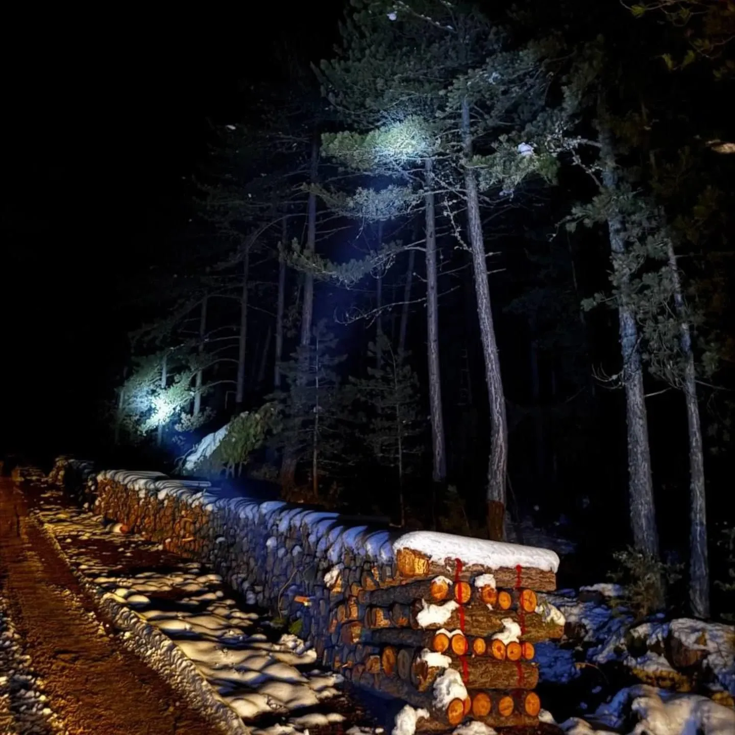 Kastamonu Ormanlarında Gece Denetimi Kastamonu'da Usulsüzlüğe Geçit Yok!