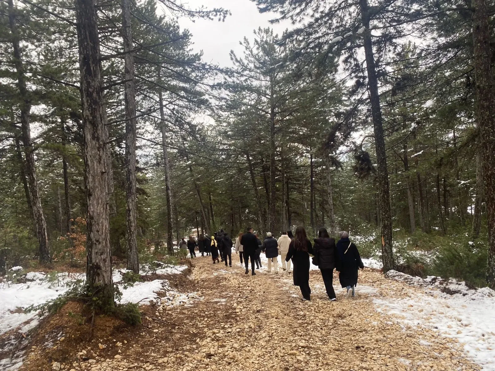 Kastamonu Üniversitesi'nde Şehir Ve Doğa Bilinci Etkinliği Gerçekleştirildi 17