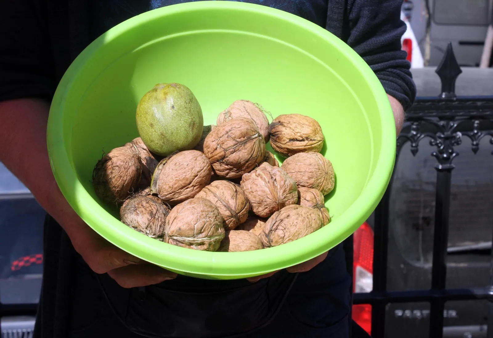 Kastamonu'da 10 Bin 172 Dekarda 5 Bin 454 Ton Ceviz Hasat Edildi! 4