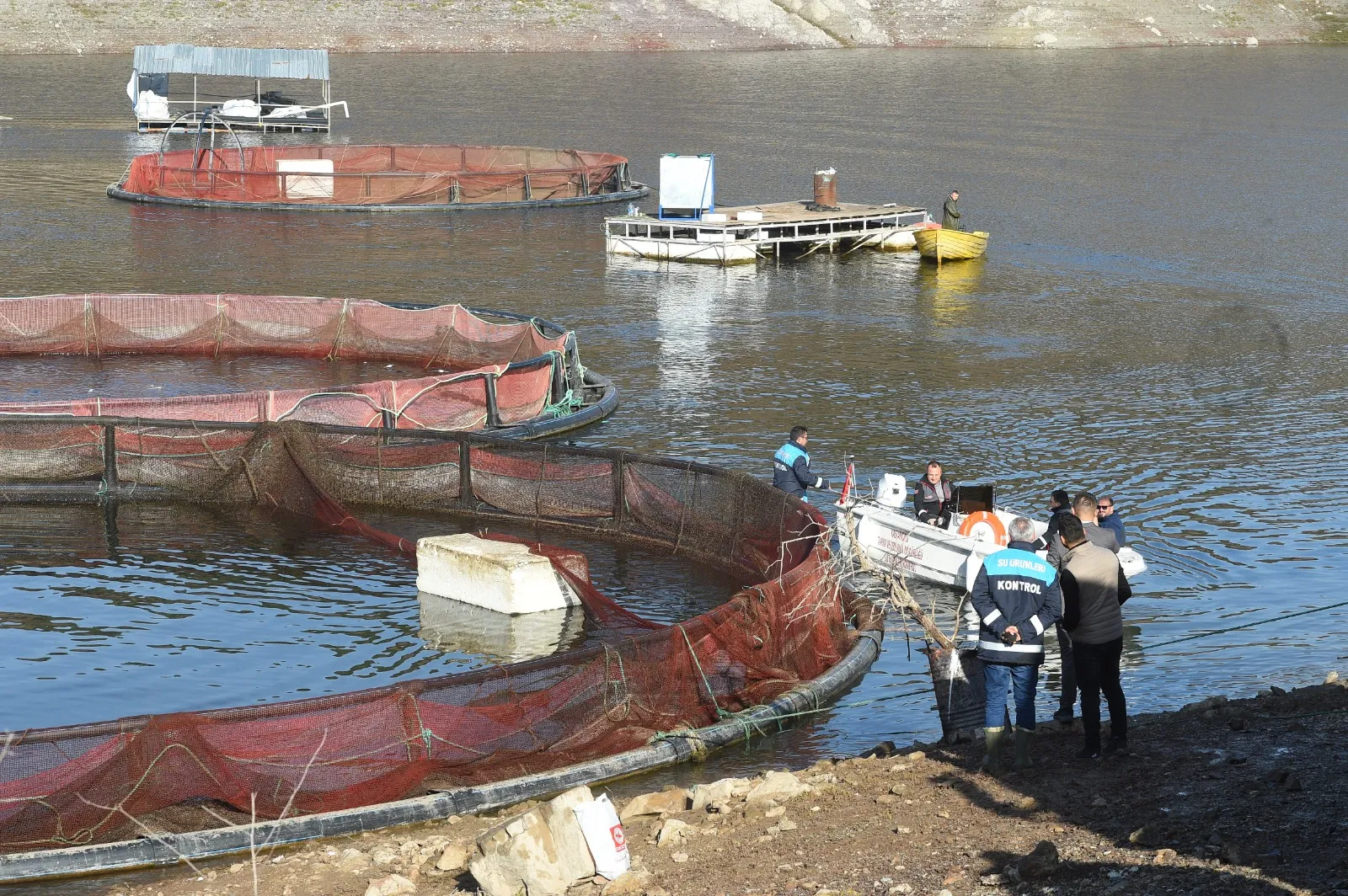 Kastamonu'da 14 Işletmede Başlandı 420 Ton Hasat Edilecek! 2