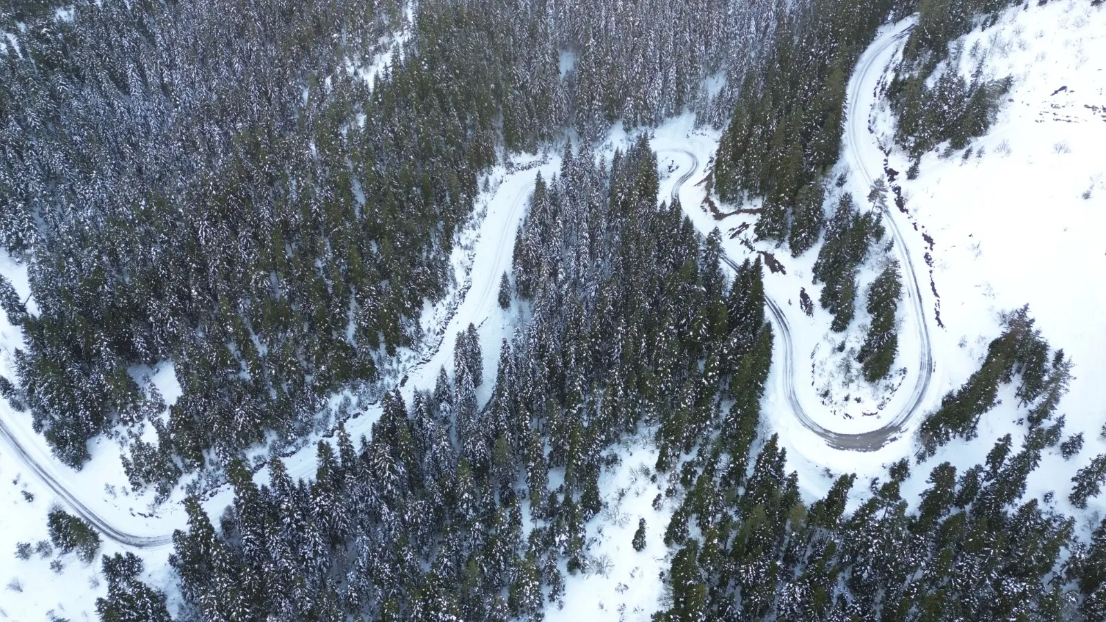 Kastamonu'da Buz Tutan Orman Ve Gölet Dron Ile Görüntülendi!